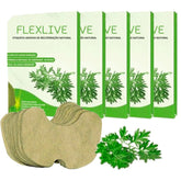 Kit 5 Pacotes Flexlive - Adesivo de Recuperação Natural Multiuso